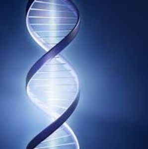 Meet your Posher, Helix